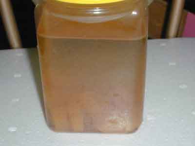 Vinegar Eels Container